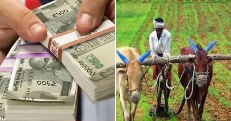 chhattisgarh-dhan-kharidi_4-950x500