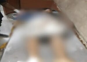 WhatsApp-Image-2024-04-14-at-2.56.29-PM