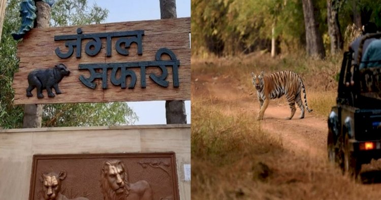 image_750x_6612d154a0c8e