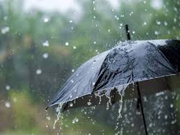 छत्तीसगढ़ में अंधड़ और बारिश की चेतावनी:बस्तर, दुर्ग और बिलासपुर संभाग के जिलों में तेज हवाएं चलेंगी; रायपुर में शाम से बदलेगा मौसम