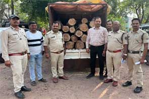 सागौन के 19 पेड़ों को काटकर ले जाते पिकअप जब्त:बिलासपुर में तस्करी करते लकड़ियों का जखीरा बरामद
