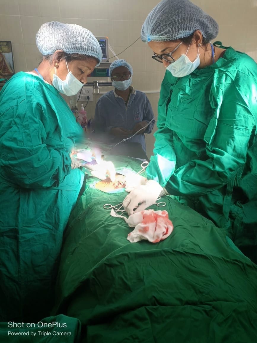 96374e8a-d99b-4f81-bb12-701b571f5766