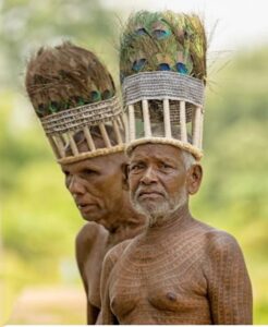 c46be235-6246-4c9e-9c88-35e7b496ef14