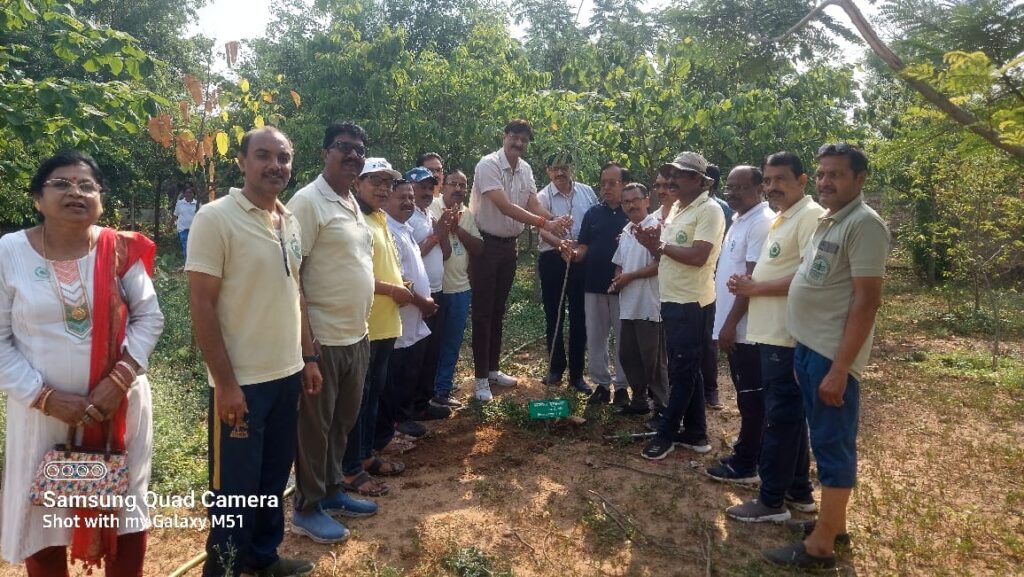 259bc1ad-740c-438e-beef-b8afddac095c