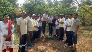 259bc1ad-740c-438e-beef-b8afddac095c