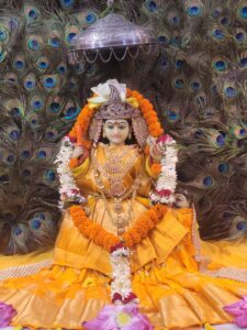 85a8da25-12cf-43b7-9843-2a16497f878b