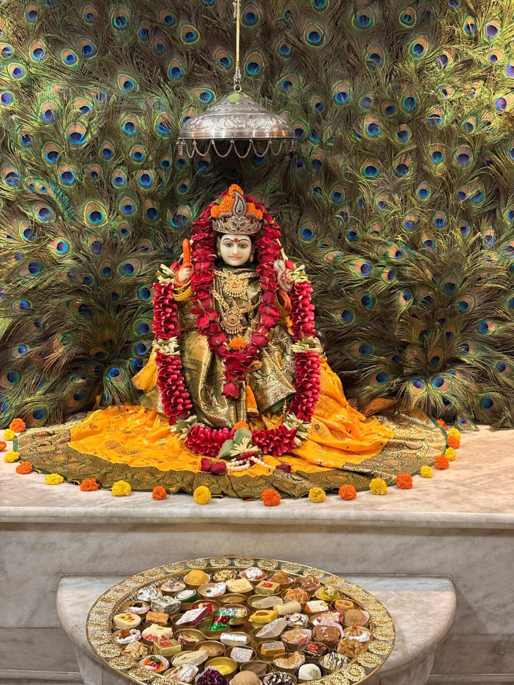 f0dee4d9-a0de-40f0-9602-6b5f501618ce