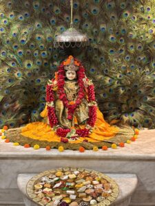 f0dee4d9-a0de-40f0-9602-6b5f501618ce