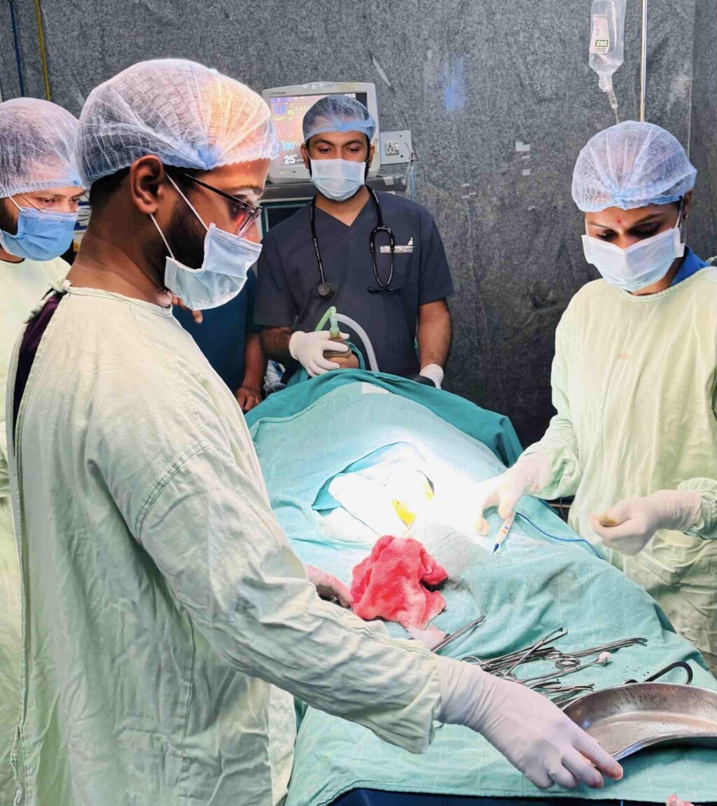 02fdab15-2aad-4a5d-b8cd-f1ceb3177975-min