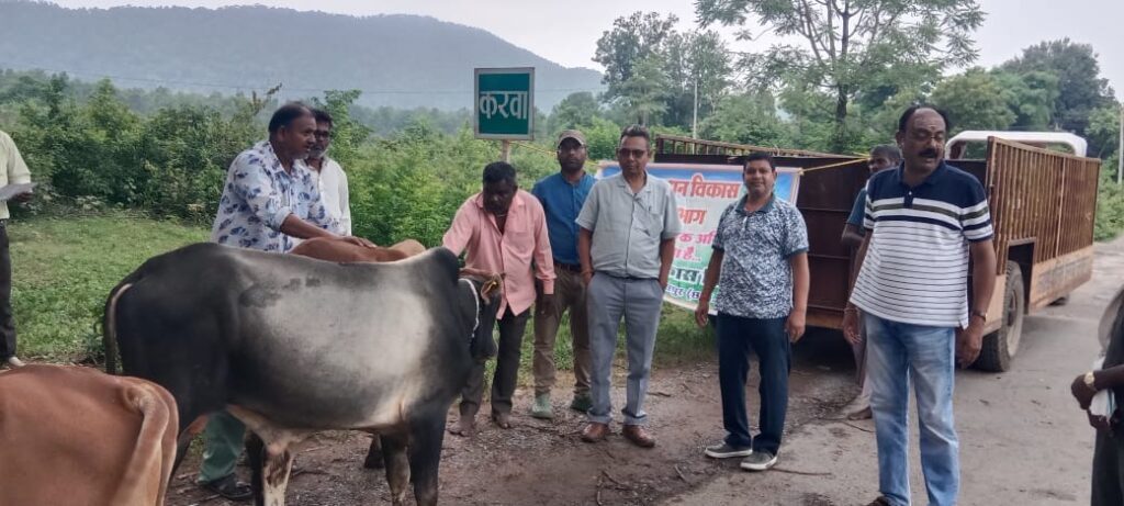 221948c9-4dbf-4cfa-9eb8-20f1ed89104e