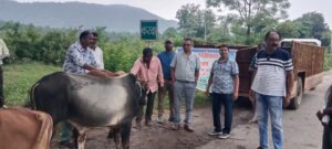 221948c9-4dbf-4cfa-9eb8-20f1ed89104e