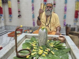 305d9d80-eea0-4af8-9bbb-9c3c46dabbd3