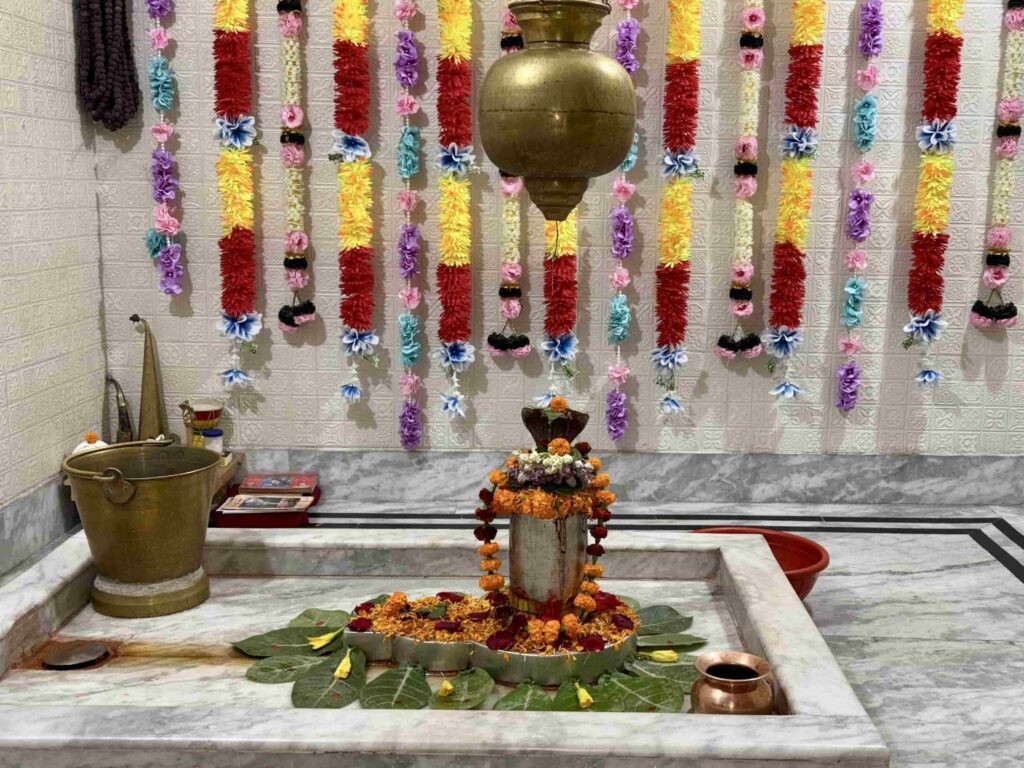 7471bc69-39e6-4123-a362-a253cc8d333c-min