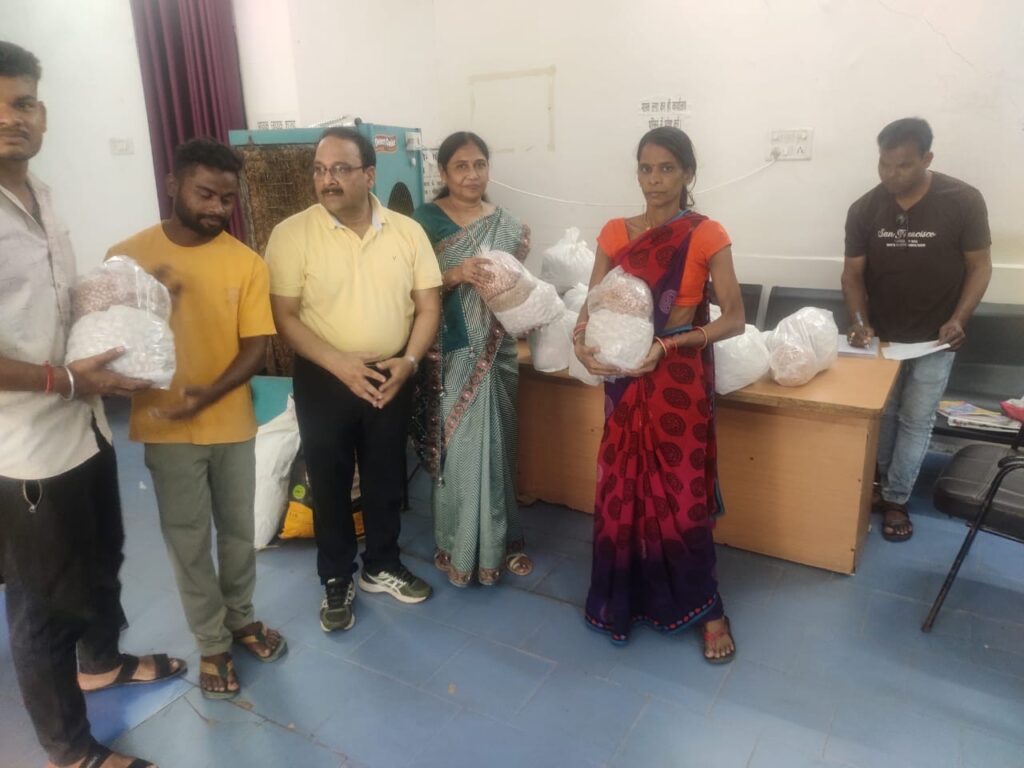 85ccf71b-1387-4d02-9853-6a2ec969619e