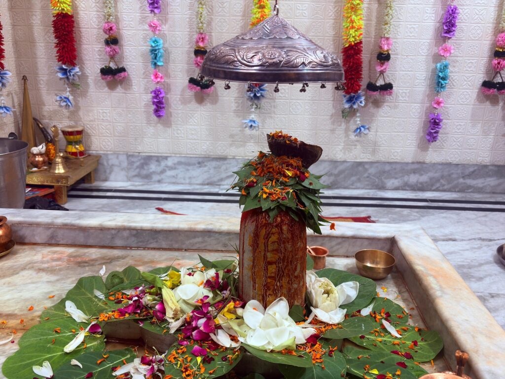 d86fb457-ff5f-43c2-8dfd-6e38d14e52ff