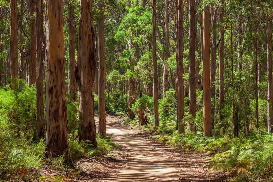 2ebf5c95-f678-4486-ac0f-91ef4a8cf102