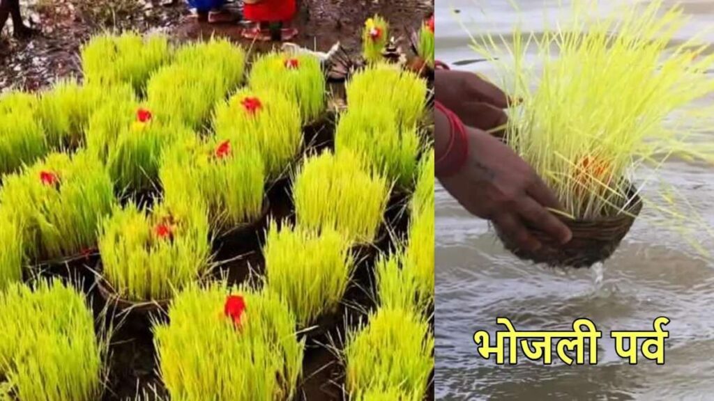 3a68fe2b-c13d-45ca-87ff-976fb4375524