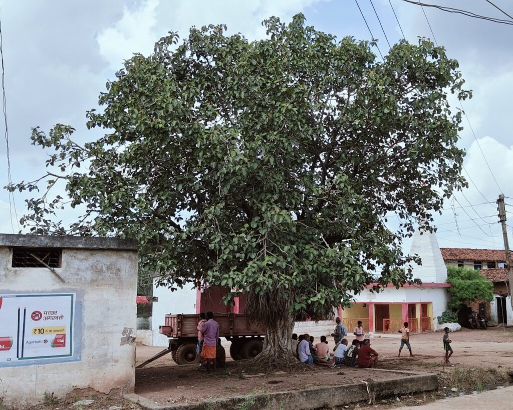 9b36ad44-62d2-4f02-bfed-f3d058236b81