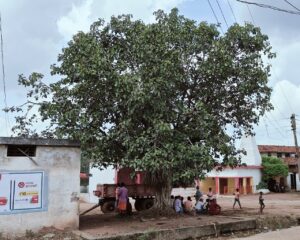 9b36ad44-62d2-4f02-bfed-f3d058236b81