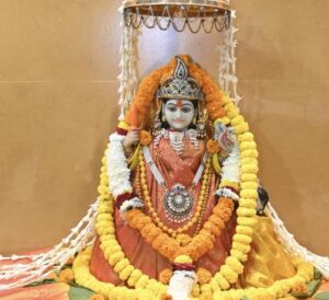 13885b2f-324d-4fa0-b65b-0b909d58583f