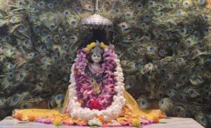 5576dee0-f52b-4a87-bd95-2978c402b684