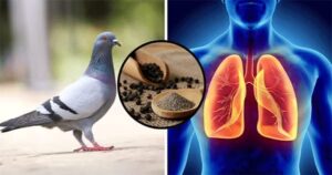 5f3590a3-3f3a-4643-93ce-9923353da379