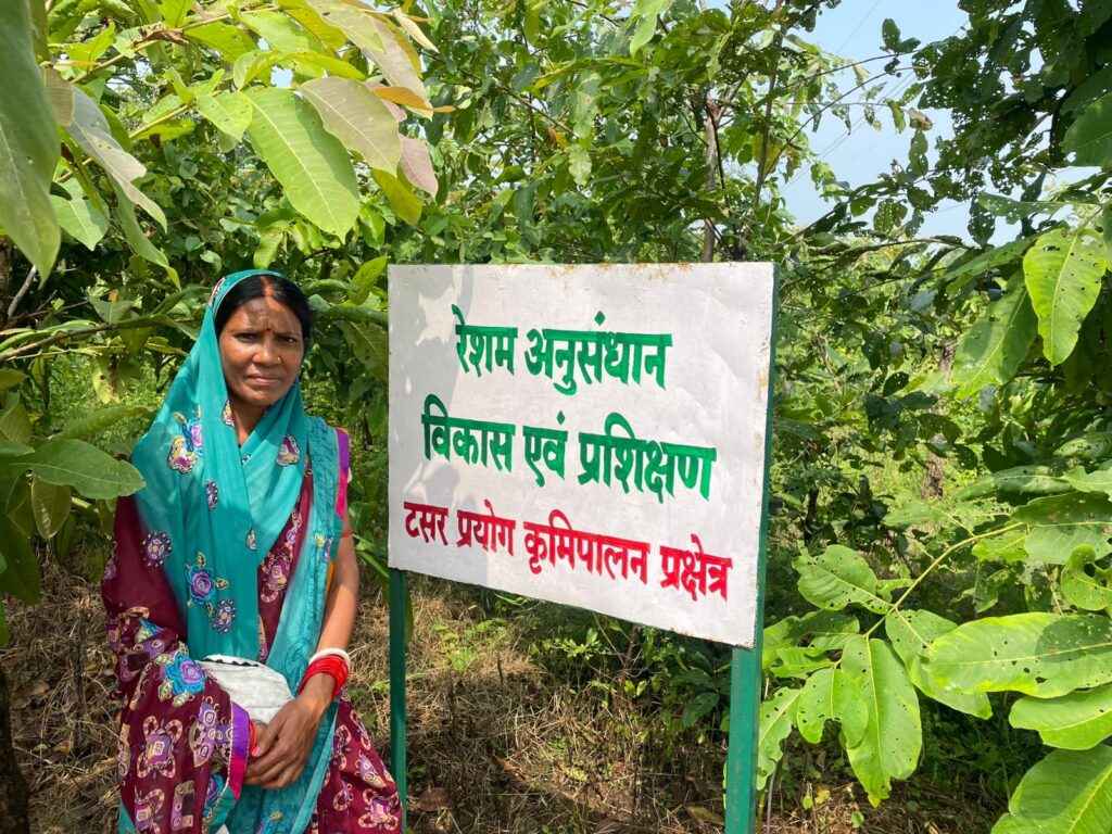 e93a58e5-04cc-4a56-ac76-faa956bceae2