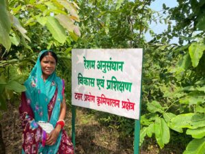 e93a58e5-04cc-4a56-ac76-faa956bceae2