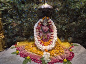 119f56b1-bfdd-4854-aebe-3146e95887e2