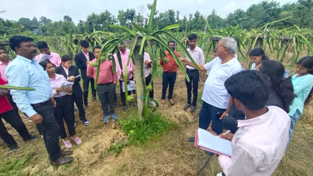 4def7f8f-5ec7-431f-b7de-6b21284df4b1