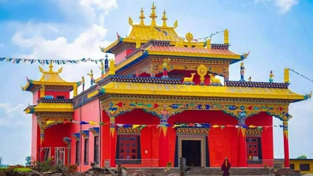 1769005082_d38ea481e21ff5a08e93