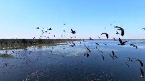 15049f6c-0438-4f55-a3d0-f2f5a32a2a6e