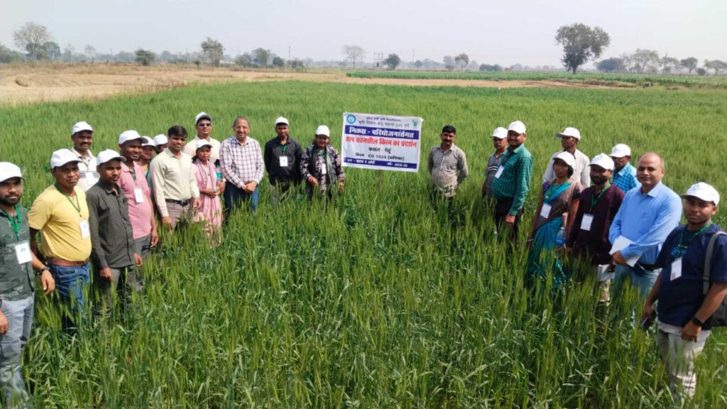 1771003951_d5bffd1a7ccd47442e8d