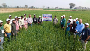 1771003951_d5bffd1a7ccd47442e8d