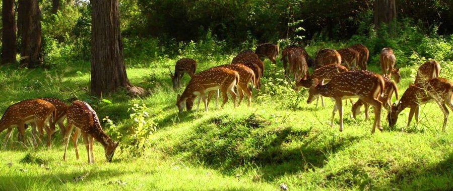 1771848735_d449ef406c645ba28aa1