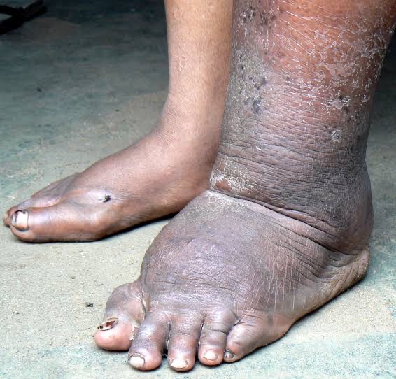 283230bd-75d7-4fcb-87d7-43d3b6fd5c4d