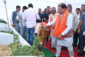 WhatsApp Image 2026-03-14 at 15.29.33