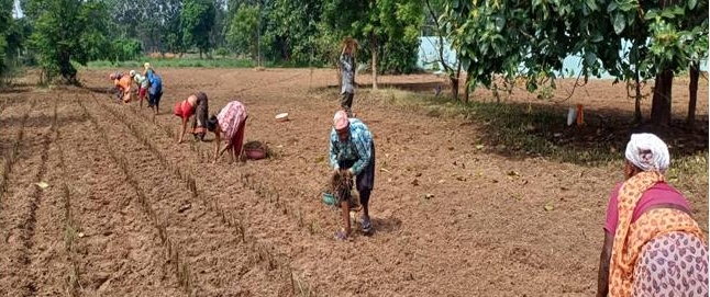 1776347090_24e3fa296515a8bbc576