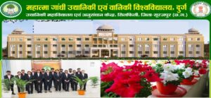 92d14c16-7318-4703-8485-c6fad3aeb333