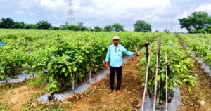 WhatsApp Image 2026-04-03 at 16.46.43