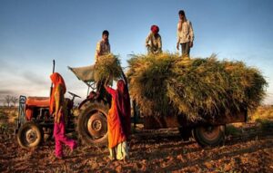 image_750x_66eac17c997c6