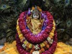श्री पीतांबरा पीठ बिलासपुर में आषाढ़ गुप्त नवरात्रि का शुभारंभ, महायज्ञ के प्रथम दिन 16800 दीगई आहुतियां