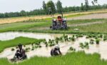प्रदेश में लक्ष्य का 97 प्रतिशत बोनी पूर्ण