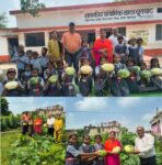 स्कूलों में हरियाली के साथ पोषण की पाठशाला, किचन गार्डन से खेती के गुर सीख रहे बच्चे; जिले के 100 स्कूलों में विकसित हुए किचन गार्डन, बच्चों को मिल रही व्यावहारिक शिक्षा