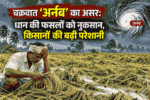 चक्रवात ‘अर्नब’ का कहर: धान की फसलों को भारी नुकसान, किसानों की बढ़ी चिंता